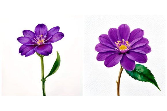 Download 2 Clematis Flower Illustration - Premium Bundle