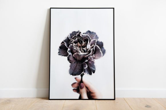 Download Flower Illustration Poster Watercolor - Premium Bundle
